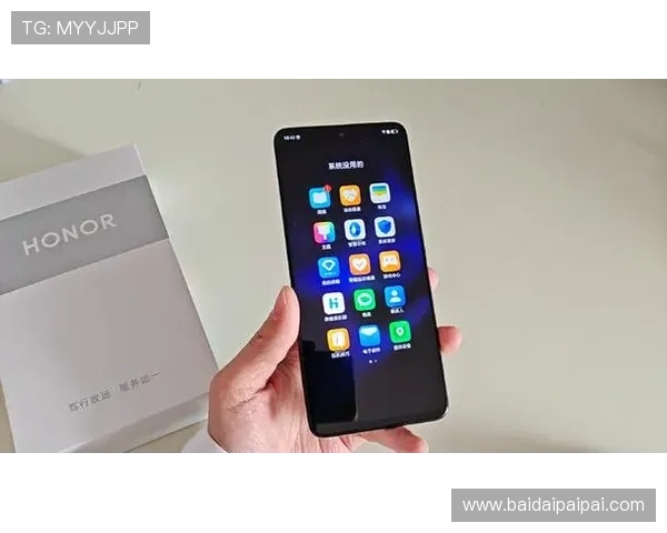 2024年最全的1号娱乐下载攻略与使用技巧详解