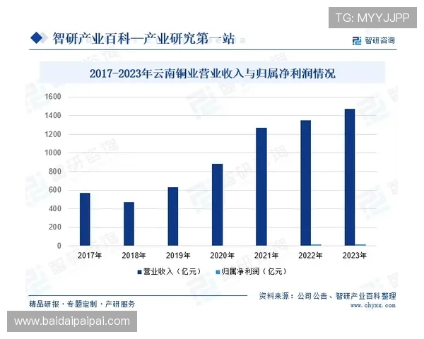壹号app南宫集团的整体实力与发展前景分析